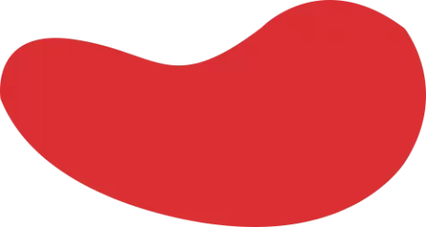 雷竞技 (RayEsports)官方网站 - 全球顶级电竞赛事平台