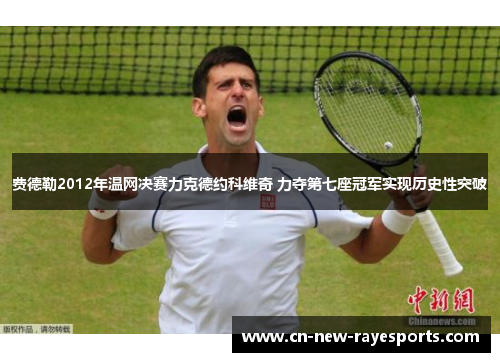费德勒2012年温网决赛力克德约科维奇 力夺第七座冠军实现历史性突破 费德勒2012年温网决赛力克德约科维奇 力夺第七座冠军实现历史性突破