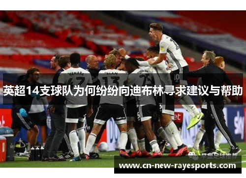 英超14支球队为何纷纷向迪布林寻求建议与帮助 英超14支球队为何纷纷向迪布林寻求建议与帮助